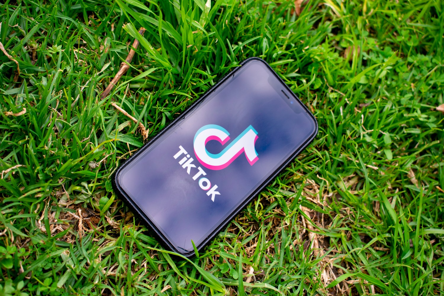 8 Interesting Tik Tok campaigns | Successful Tik Tok influencer marketing 