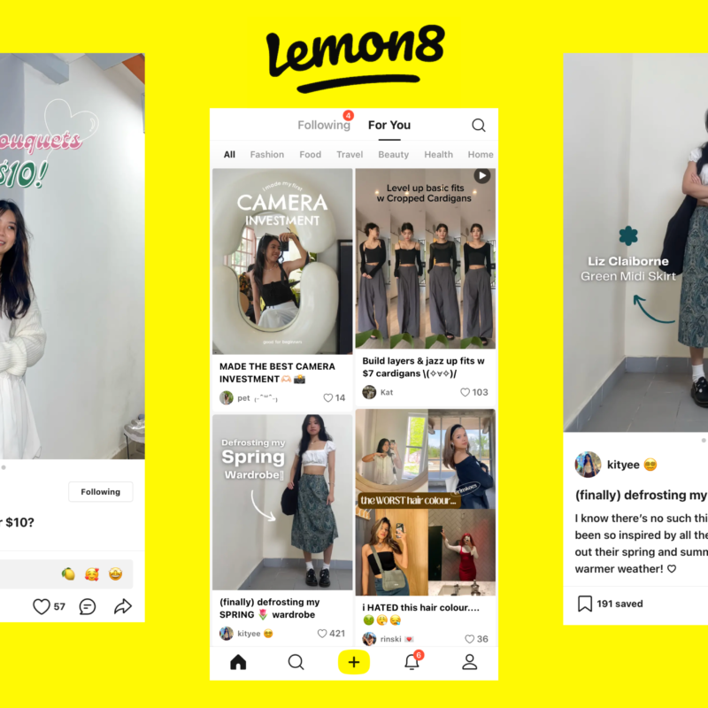 Lemon8 creator, Lemon8, Social Media, Niche