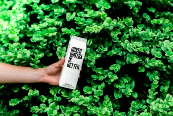 Eco-Friendly Lifestyle Influencers in Singapore to Follow