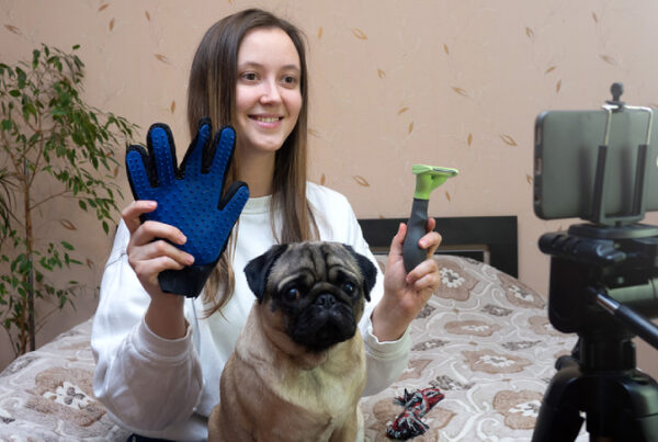 Top Cute Pet Influencer To Follow If You Are An Animal Lover